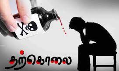 புதுமாப்பிள்ளை விஷம் குடித்து தற்கொலை