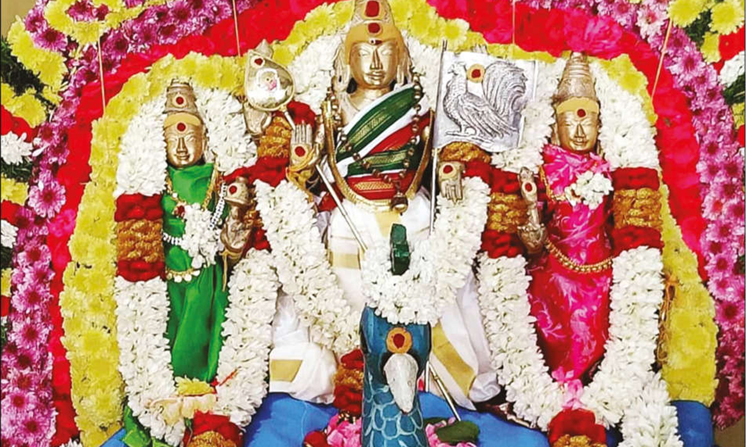 சென்னியாண்டவர் கோவிலில் திருக்கல்யாணம் சென்னியாண்டவர் கோவிலில் திருக்கல்யாணம்