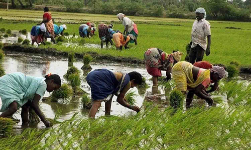 நில உரிமை சான்று வழங்க கோரி மடத்துக்குளம் தாலுகா அலுவலகம் முன்பு  நாளை விவசாயிகள் போராட்டம்