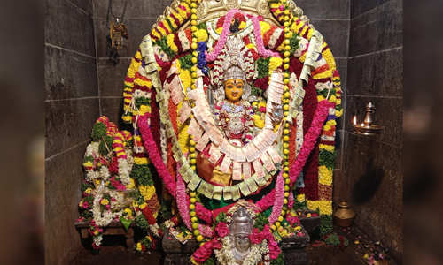 ராசிபுரம் நித்திய சுமங்கலி மாரியம்மன் கோவில் தீ மிதி விழா  நூற்றுக்கணக்கான பக்தர்கள் பங்கேற்பு