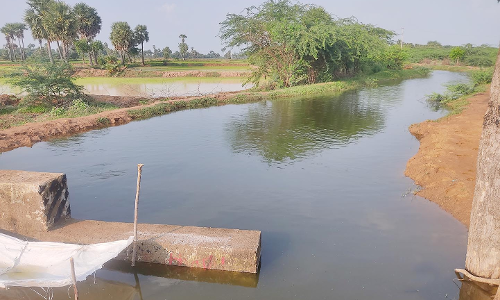 மானாமதுரை பகுதியில் நிரம்பும் கண்மாய்கள்