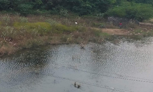 காஞ்சிபுரம்-செங்கல்பட்டு மாவட்டத்தில் 5 தடுப்பணைகள் நிரம்பியது