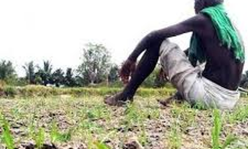 விவசாயிகளுக்கு ரூ.7.2 லட்சம் இழப்பீட்டு தொகை வழங்க உத்தரவு