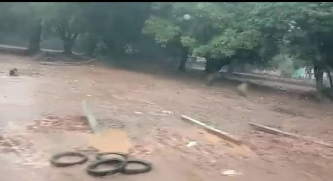 வானூர் அருகே ஆதீனமடத்துக்கு சொந்தமான வேலிகள் அகற்றம்: அ.ம.மு.க. பிரமுகர் உள்பட 20 பேர் மீது வழக்கு வானூர் அருகே ஆதீனமடத்துக்கு சொந்தமான வேலிகள் அகற்றம்: அ.ம.மு.க. பிரமுகர் உள்பட 20 பேர் மீது வழக்கு