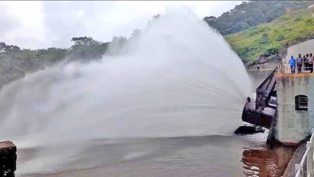 பிசான சாகுபடிக்காக  பாபநாசம், மணிமுத்தாறு அணைகளில் இருந்து தண்ணீர் திறப்பு - 86 ஆயிரம் ஏக்கர் நிலங்கள் பாசன வசதி பெறும்