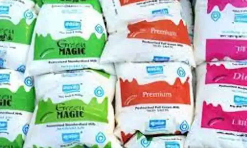 ஆரஞ்சு பாக்கெட் பால் விலை உயர்வால் பொதுமக்களுக்கு பாதிப்பு இல்லை- அமைச்சர் நாசர் தகவல்