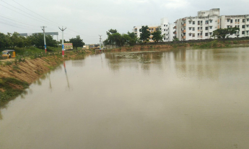 பலத்த மழை- பக்கிங்காம் கால்வாயில் நீர்வரத்து அதிகரிப்பு