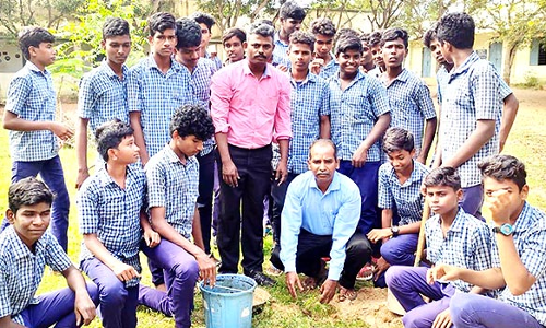 நாட்டு நலப்பணி திட்ட முகாமில் மரக்கன்று நடும் விழா