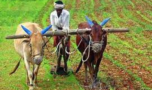 ஏர் உழவர் சங்க மாநில செயற்குழு கூட்டம்