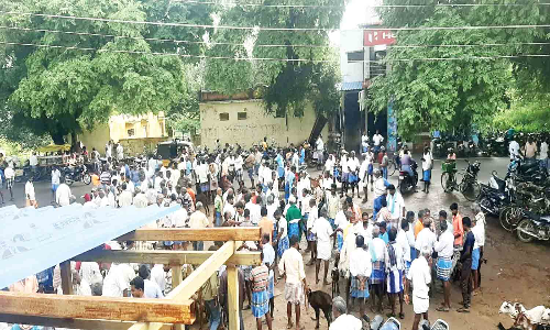 ஒடுக்கத்தூர் சந்தையில் மழையால் ஆடுகள் விற்பனை குறைந்தது