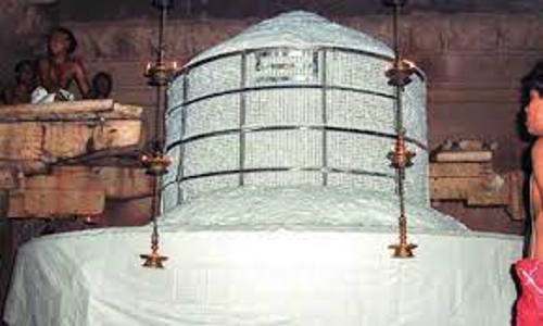 உலகப்பிரசித்தி பெற்ற கங்கைகொண்ட சோழபுரம் பிரகதீஸ்வரர் கோவிலில் அன்னாபிஷேகம்