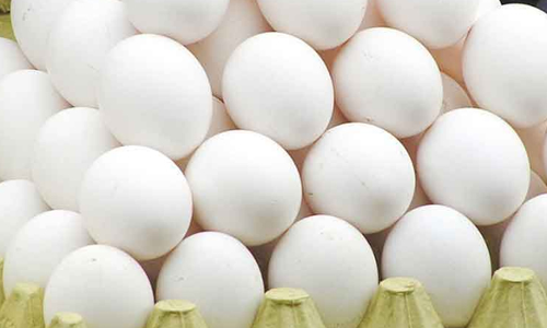 நாமக்கல் மண்டலத்தில் இருந்து  வெளிநாடுகளுக்கு 40 லட்சம் முட்டைகள் ஏற்றுமதி