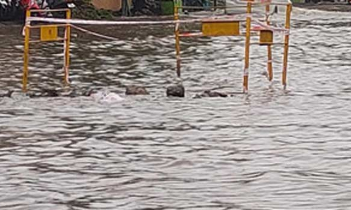 அத்திப்பட்டு புதுநகரில் ஆக்கிரமிப்புகளை அகற்றி வெள்ளத்தை வெளியேற்ற நடவடிக்கை