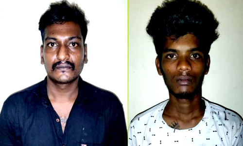 பெண்ணிடம் சங்கிலி பறித்த 2 பேர் கைது