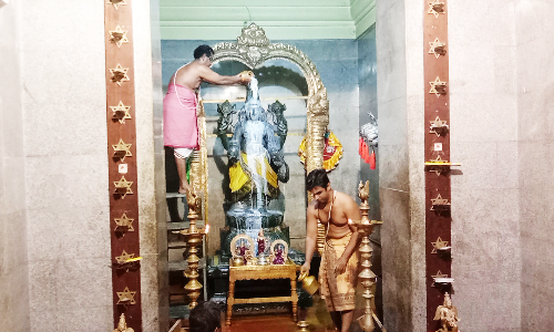 வாலாஜா தன்வந்திரி பீடத்தில் லட்சார்ச்சனை நிறைவு விழா