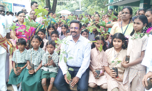 கொன்றைக்காடு அரசு பள்ளியில் மரக்கன்றுகள் வழங்கும் விழா- கலெக்டர் தொடங்கி வைத்தார்