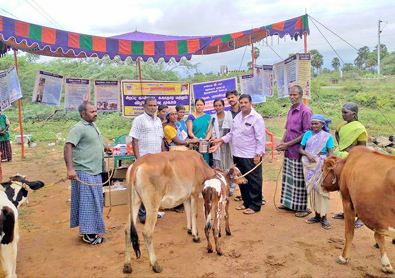 நொச்சிக்குளத்தில் சிறப்பு கால்நடை சுகாதார முகாம் நொச்சிக்குளத்தில் சிறப்பு கால்நடை சுகாதார முகாம்