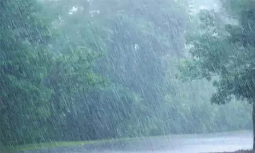 தொடா் மழையால் தேங்காய் உலா்களங்களில்  பணிகள் பாதிப்பு