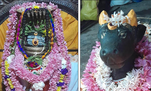 சிவன் கோவில்களில் பிரதோஷத்தை முன்னிட்டு நந்தி பெருமானுக்கு சிறப்பு அபிஷேகம்