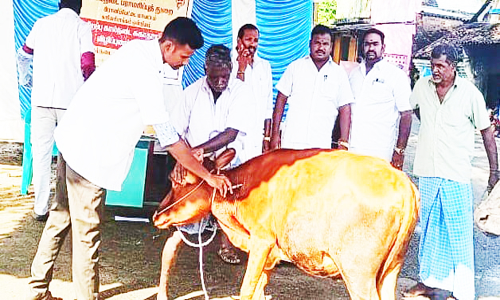 சோளிங்கர் போளிப்பாக்கம் கிராமத்தில் கால்நடை மருத்துவ முகாம்