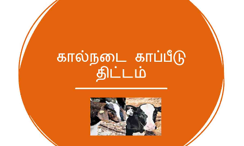 கால்நடை  காப்பீடுக்கு ரூ.5.40 லட்சம் நிதி ஒதுக்கீடு