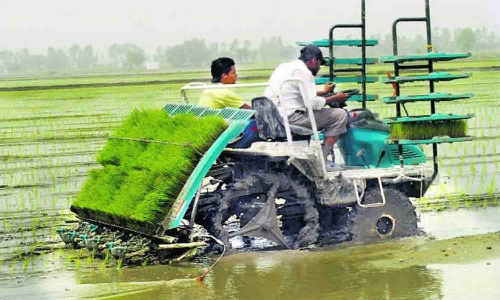 சாகுபடி பணிகளை மேற்கொள்ள விவசாயிகளுக்கு மானியம், வாடகையில் வேளாண் எந்திரங்கள், நிலத்தடி நீர்மட்டத்தை அறியவும் ஏற்பாடு