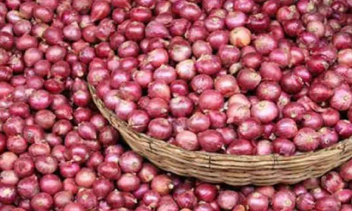 வரத்து குறைவால் சின்ன வெங்காயம் கிலோ ரூ.120 ஆக அதிகரிப்பு