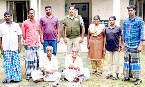 பறவை வேட்டையில் ஈடுபட்டவர்களுக்கு அபராதம்