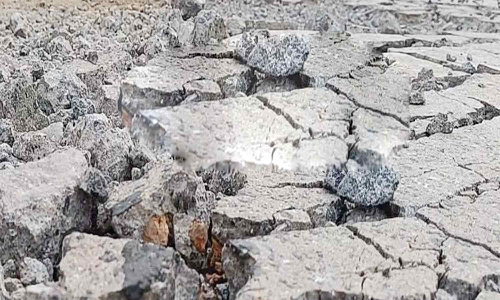 ரெயில்வே மேம்பாலத்தை சீரமைக்க வேண்டும்