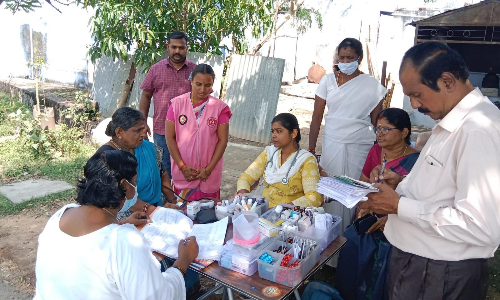 எலிக்காய்ச்சலுக்கு பலி:  கர்ப்பிணியின் சொந்த ஊரில் மருத்துவக்குழுவினர் ஆய்வு