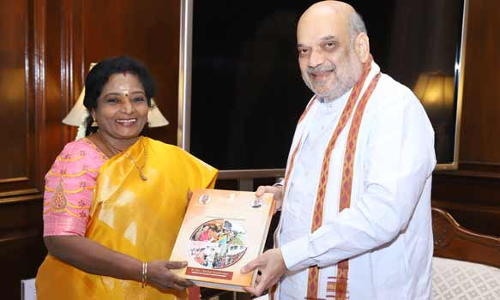 அமித்ஷாவுடன், கவர்னர் தமிழிசை திடீர் சந்திப்பு