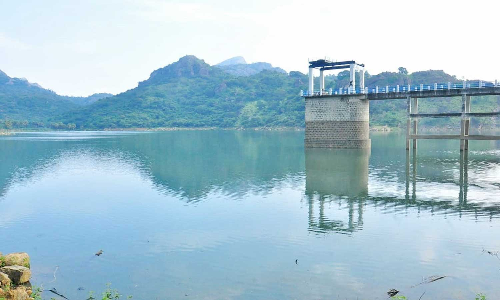 மாம்பழத்துறையாறில் 42 மி.மீ. பதிவு