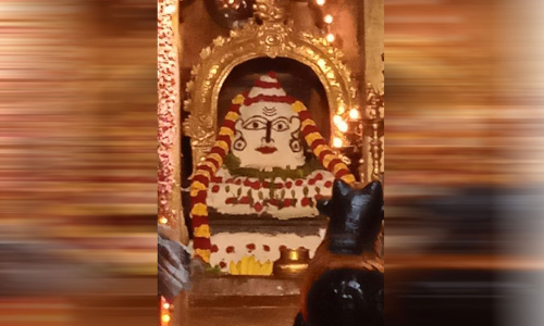 செங்கோட்டை  சிவன் கோவிலில் அன்னாபிஷேக வழிபாடு