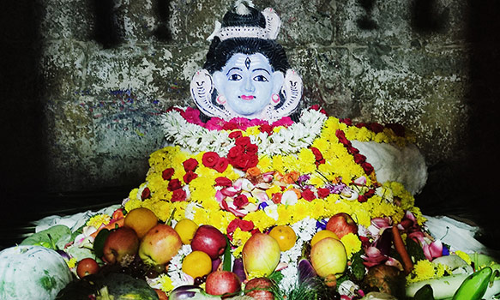 நாகேஸ்வரமுடையார் கோவிலில் அன்னாபிஷேகம்