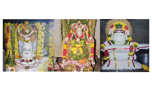 கிருஷ்ணகிரி மாவட்டத்தில்  ஐப்பசி மாத பவுர்ணமியையொட்டி   சிவன் கோவில்களில் அன்னாபிஷேகம்