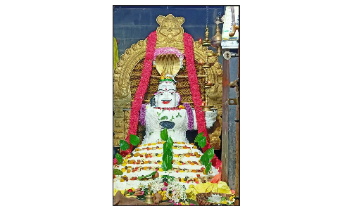 காவேரிப்பட்டினம் பகுதியில்  ஈஸ்வரன் கோவில்களில் அன்னாபிஷேகம்