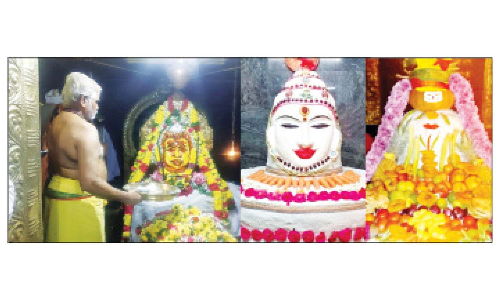 ஐப்பசி மாத பவுர்ணமியையொட்டி  தருமபுரி மாவட்ட சிவன் கோவில்களில் அன்னாபிஷேக விழா  -திரளான பக்தர்கள் சாமி தரிசனம்