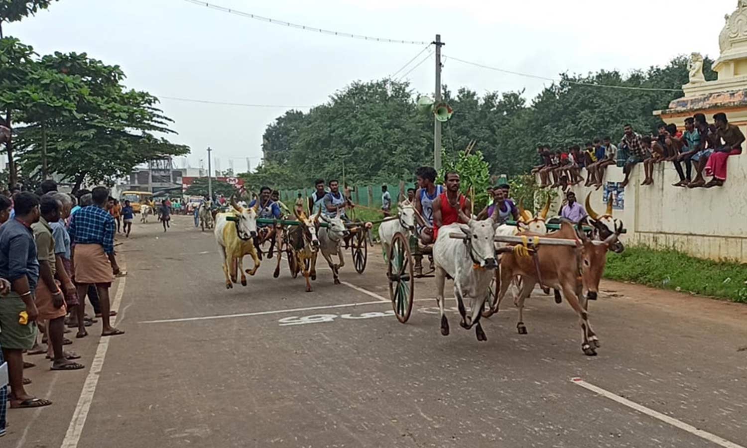 கம்பம் அருகே கோவில் திருவிழாவையொட்டி இரட்டை மாட்டு வண்டி பந்தயம்