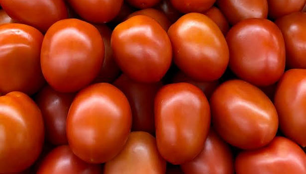 தக்காளி விலை குறைந்தது: கிலோ ரூ.17-க்கு விற்பனை