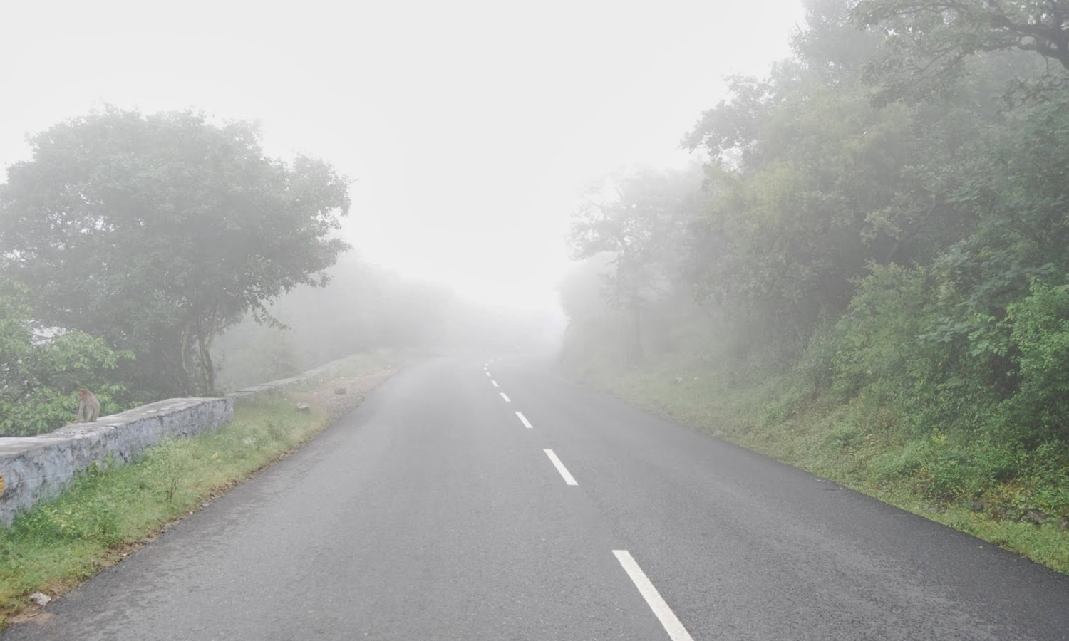 நீலகிரியில் கடும் பனிமூட்டம்-குளிர்: பொதுமக்கள் இயல்பு வாழ்க்கை பாதிப்பு நீலகிரியில் கடும் பனிமூட்டம்-குளிர்: பொதுமக்கள் இயல்பு வாழ்க்கை பாதிப்பு