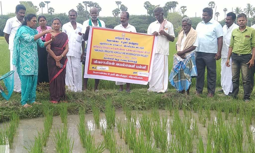 விவசாயிகளுக்கு வயல்வெளி  பயிற்சி