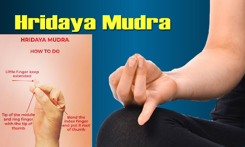 இதயத்தைப் பாதுகாக்கும் ம்ருத்யூ சஞ்சீவி என்கிற இதய முத்திரை