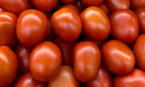 தக்காளி விலை குறைந்தது: கிலோ ரூ.17-க்கு விற்பனை