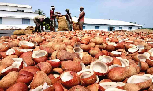 வெள்ளகோவிலில் ரூ. 49 லட்சத்திற்கு தேங்காய் பருப்பு விற்பனை