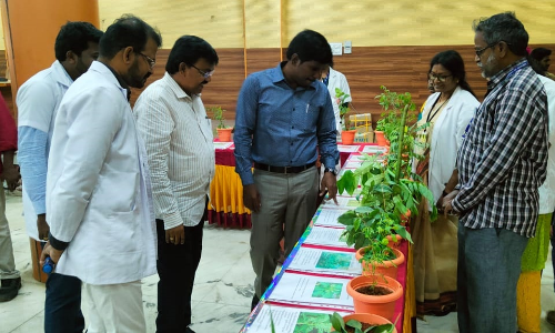 திருச்சி மாவட்ட சித்த மருத்துவத்துறை மிகவும் சிறப்பாக செயல்பட்டு வருகிறது - முகாமில்  கலெக்டர் பேச்சு