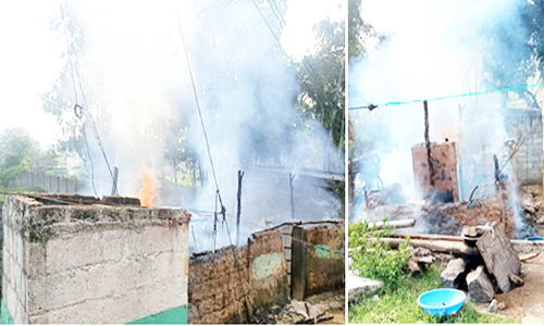 கியாஸ் சிலிண்டர் வெடித்து குடிசை வீடு எரிந்து நாசம்