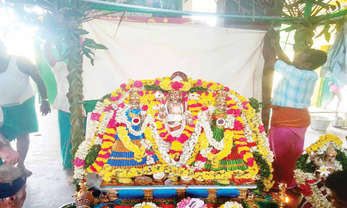போளூர் நற்குன்றம் ஸ்ரீ பாலமுருகன் கோவிலில் கிருத்திகை பூஜை