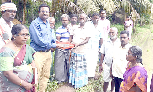 விவசாயிகளுக்கு மானிய விலையில் விதைகள்- கலெக்டர் வழங்கினார்