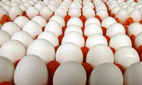 நாமக்கல் மண்டலத்தில் முட்டை விலை மேலும் 5 காசுகள் உயர்வு