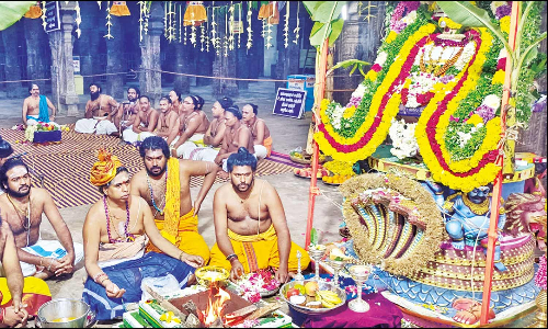 குடமுழுக்கு நடந்து ஒரு ஆண்டு நிறைவு: நாகநாதர் கோவிலில் யாகசாலை பூஜை